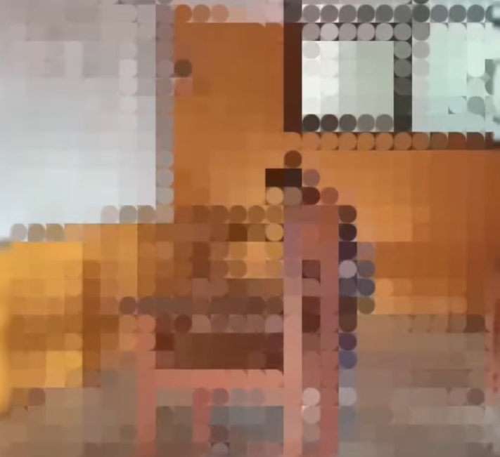 viral video perundungan
