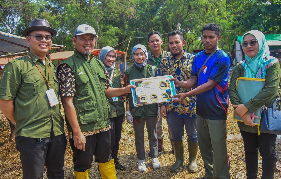 Pemeriksaan Hewan Kurban Kota Tangerang (5)