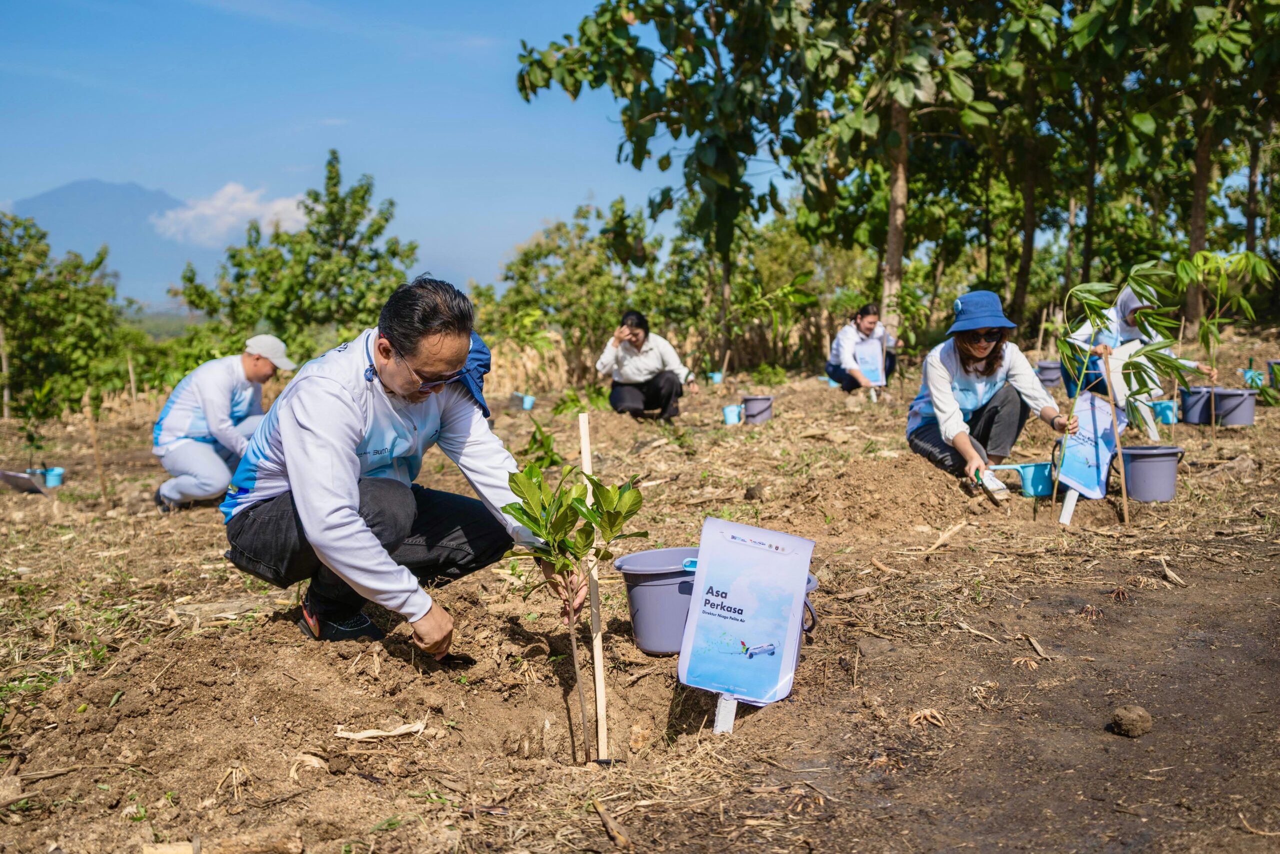 Pelita Air Bersama Pertamina Tanam 10 Ribu Pohon di Jawa Timur Pelita Air Bersama Pertamina Tanam 10 Ribu Pohon di Jawa Timur