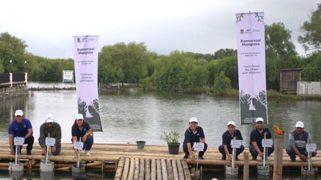 WOM Finance Berkomitmen pada Konservasi Lingkungan dengan Penanaman Mangrove di Pantai Tanjung Pasir
