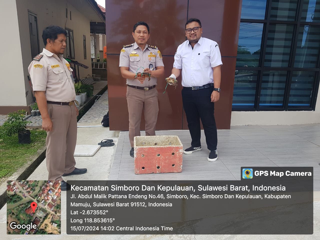 KKP Lepasliarkan Puluhan Kepiting Bakau Hasil Sitaan
