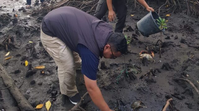KKP Lepasliarkan Puluhan Kepiting Bakau Hasil Sitaan