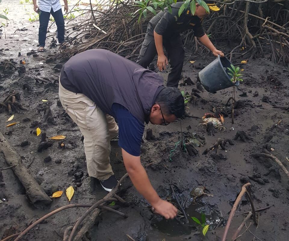 KKP Lepasliarkan Puluhan Kepiting Bakau Hasil Sitaan