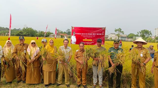 Kota Tangerang Tingkatkan Produktivitas Pertanian, Targetkan Panen Tiga Kali Setahun