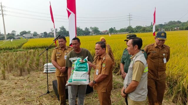 Petani Tangerang Tak Dapat Pupuk Subsidi, Nurdin Siapkan Dua Skema Solusi