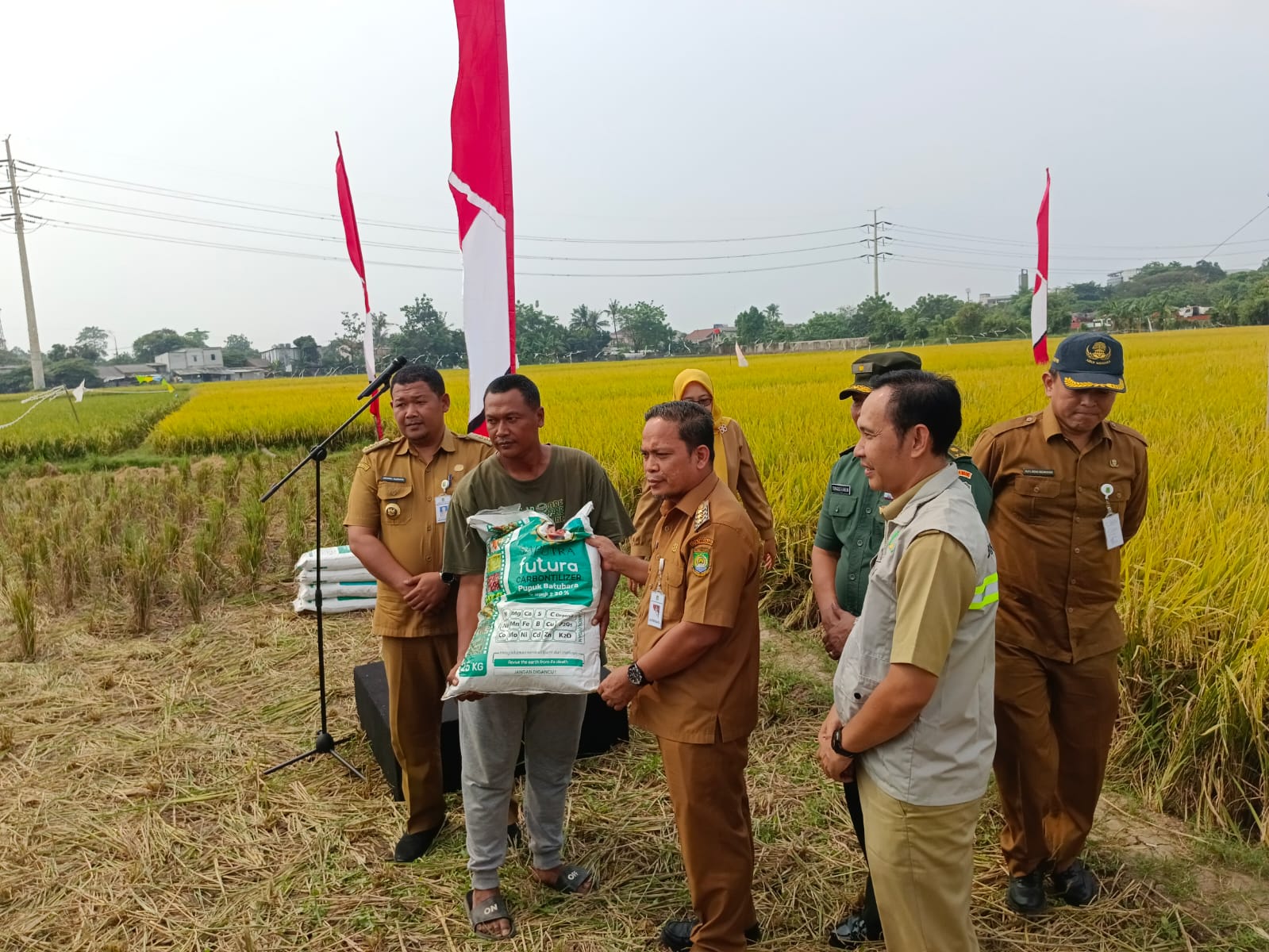 Petani Tangerang Tak Dapat Pupuk Subsidi, Nurdin Siapkan Dua Skema Solusi