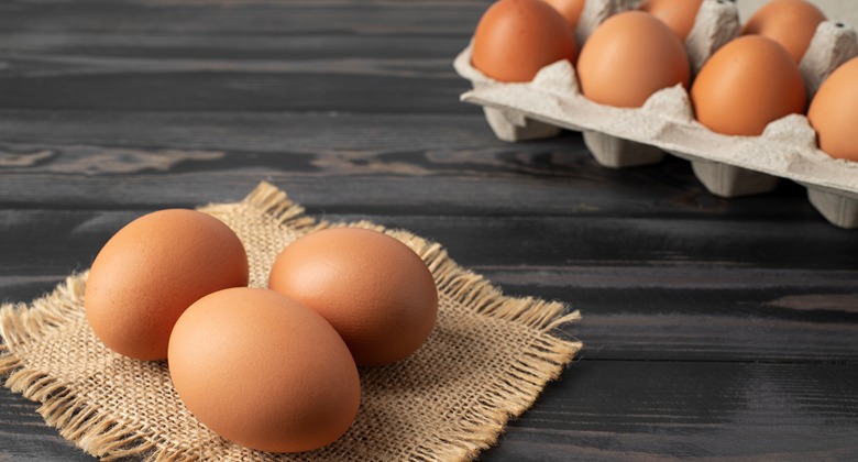 apakah aman mengonsumsi banyak telur