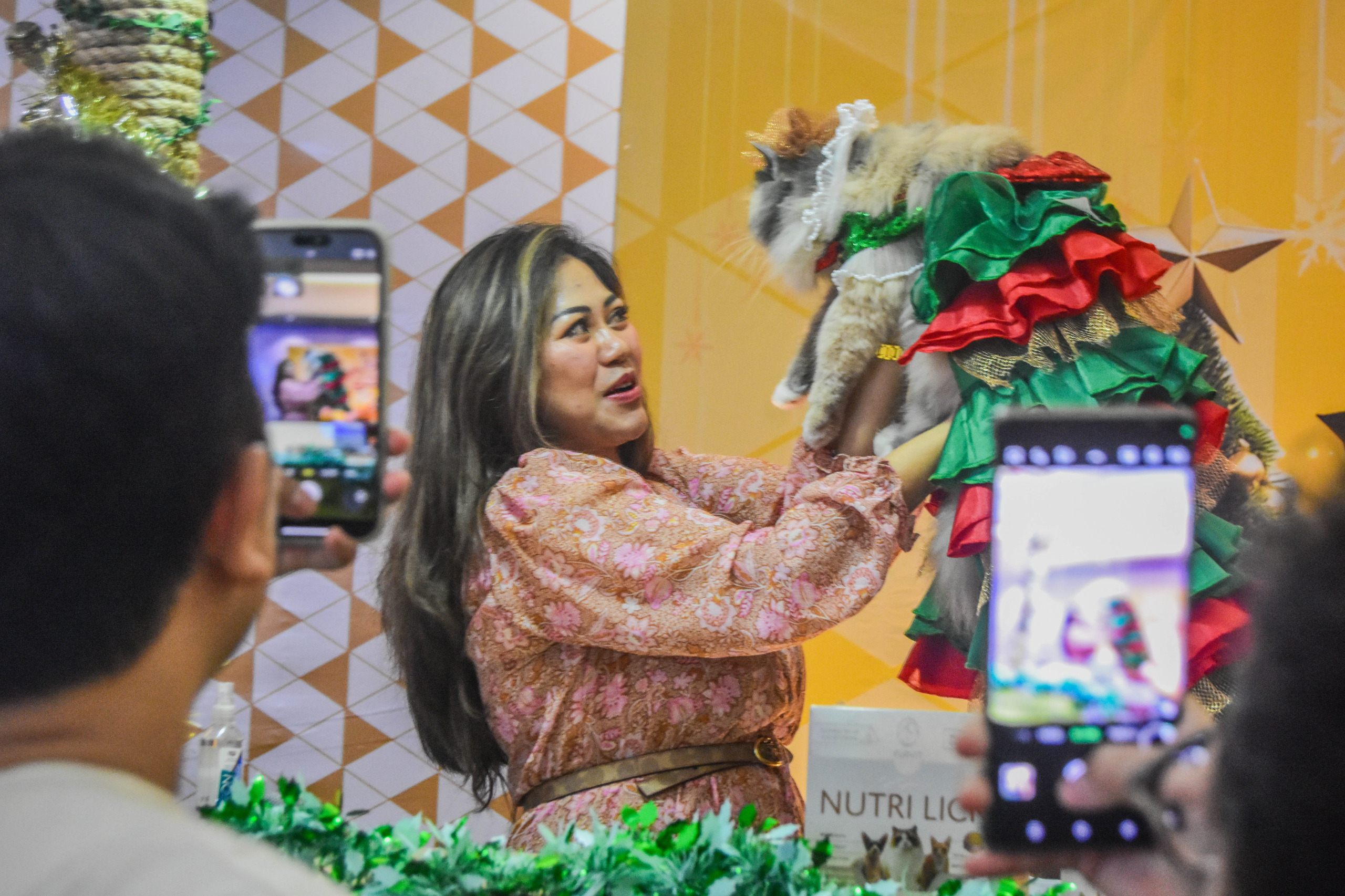 Kompetisi kucing di mall alam sutera (1)