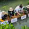 PENANAMAN MANGROVE-3