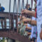 PENANAMAN MANGROVE-6