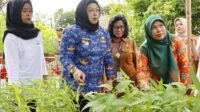 Wabup Intan: Bantuan Ekonomi Kampung KB Dongkrak Perekonomian Keluarga