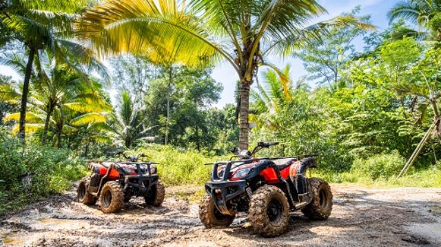 Menemukan Keseimbangan: Liburan Keluarga dan Gathering Kantor di Mutiara Carita Cottages