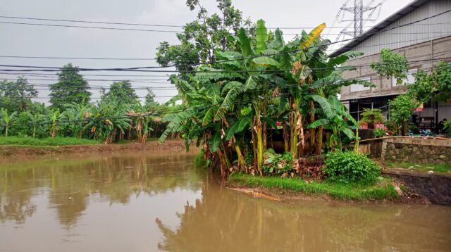 Tragis! Bayi Baru Lahir di Kota Tangerang Ditemukan Tewas di Bendungan Polor