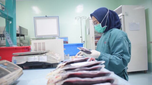 Hari Donor Darah Sedunia, PMI Kota Tangerang Ajak Masyarakat Jaga Stok Darah