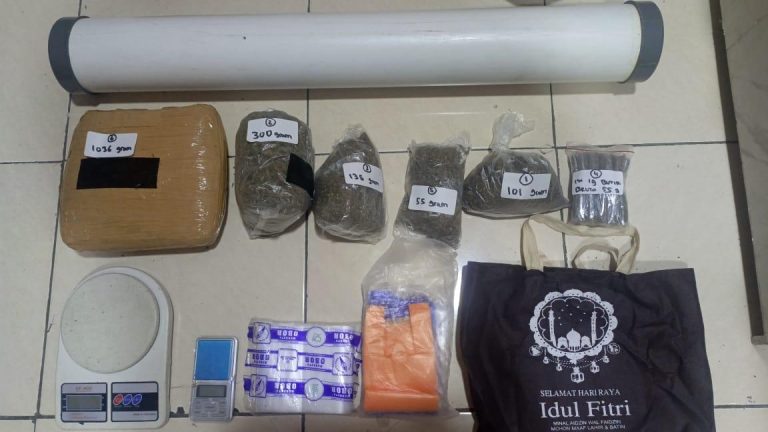 Polisi Tangkap Pengedar Ganja di Tangerang, Sita Barang Bukti 1,6 Kilogram