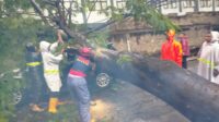 Cuaca ekstrem berupa hujan deras disertai angin kencang melanda Kota Tangerang sejak Senin pagi, 12 Januari 2026. Kondisi tersebut menyebabkan sejumlah kejadian pohon