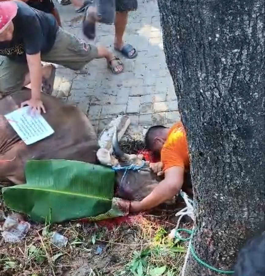 Meninggal Saat Proses Penyembelihan Hewan Kurban, Hendrik Gunawan Dikenal Aktif Bermasyarakat Meninggal saat Penyembelihan Hewan Kurban, Hendrik Gunawan Dikenal Aktif Bermasyarakat