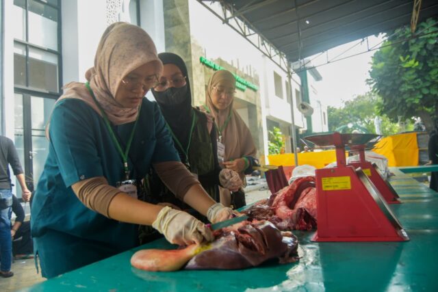 Pemeriksaan Hewan Kurban di Banten (2)