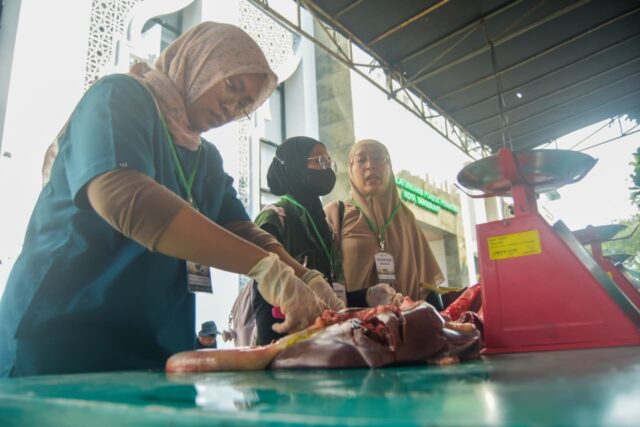 Pemeriksaan Hewan Kurban di Banten (3)