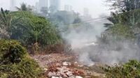 Alang-Alang Seluas 400 Meter Persegi di Cibodas Terbakar, BPBD Sebut Ini Penyebabnya!