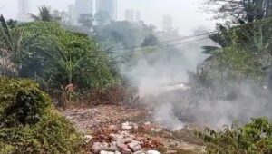Alang-Alang Seluas 400 Meter Persegi di Cibodas Terbakar, BPBD Sebut Ini Penyebabnya!