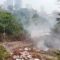 Alang-Alang Seluas 400 Meter Persegi di Cibodas Terbakar, BPBD Sebut Ini Penyebabnya!