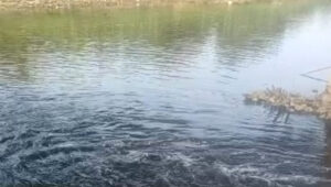 Cisadane Tercemar Cairan Hitam, Gubernur Banten Instruksikan Sanksi Tegas untuk Industri Pelanggar