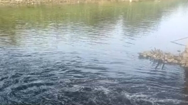 Cisadane Tercemar Cairan Hitam, Gubernur Banten Instruksikan Sanksi Tegas untuk Industri Pelanggar