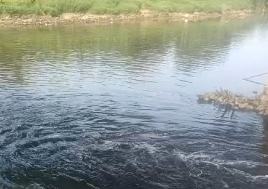 Cisadane Tercemar Cairan Hitam, Gubernur Banten Instruksikan Sanksi Tegas untuk Industri Pelanggar Cisadane Tercemar Cairan Hitam, Gubernur Banten Instruksikan Sanksi Tegas untuk Industri Pelanggar