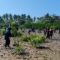 Tanam 1.000 Mangrove, Mapala dan Sispala Banten Perkuat Mitigasi Abrasi dan Tsunami