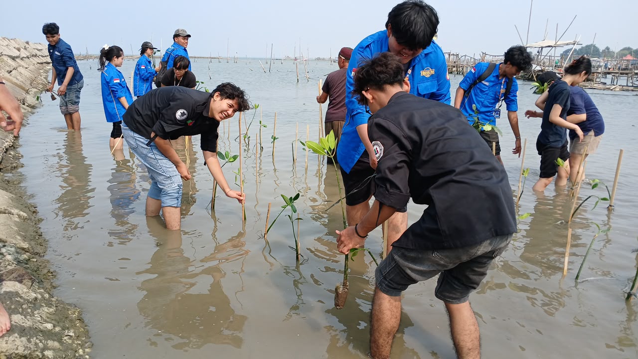 Cegah Abrasi di Pesisir Utara Tangerang Mahasiswa HIMAKOM UBD Bersama Warga Tanam Ratusan Mangrove
