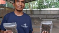 Menepis Jijik demi Lingkungan Kisah Opay dan Lalat Tentara Hitam di Balik Tumpukan Sampah