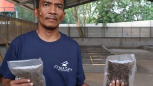 Menepis Jijik demi Lingkungan Kisah Opay dan Lalat Tentara Hitam di Balik Tumpukan Sampah