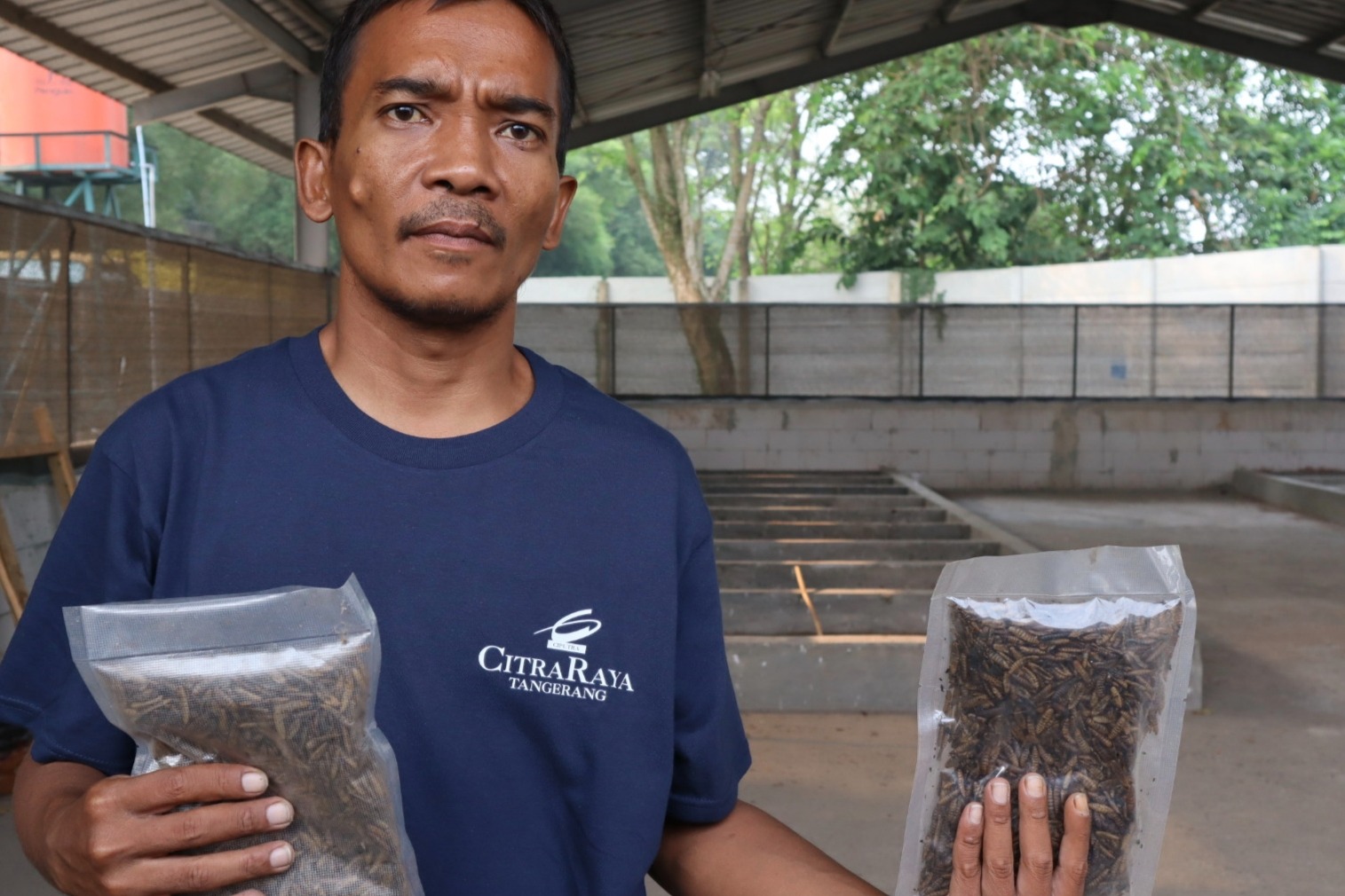 Menepis Jijik demi Lingkungan Kisah Opay dan Lalat Tentara Hitam di Balik Tumpukan Sampah